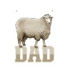 Lincoln Sheep Dad