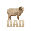 Rambouillet-Schaf Papa