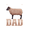 Shetland Sheep Dad