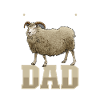 Papa mouton islandais