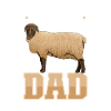 Suffolk Sheep Dad