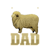 Merinoschaf Papa
