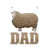 Romney-Schaf Papa