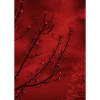 Decay