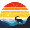 Mountain sunset with ibex