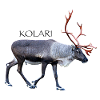 Kolari