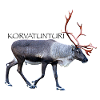 KORVATUNTURI