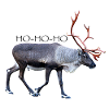 Nordic Reindeer with Festive Antlers
