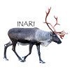 Inari
