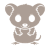 opossum