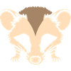 opossum