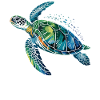 Turtle Sea Creatures Ocean