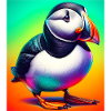 puffin
