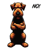 Pas d’Airedale Terrier Airedales Airedalebesitzer