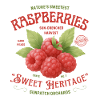 Framboises Fruits Sucrés Aquarelle Framboise