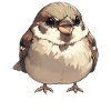 Sparrows Sparrow