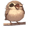 Sparrows Sparrow