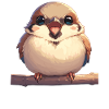 Moineaux Moineau
