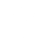 emu