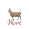 Border Leicester Mama