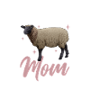 DorpersSchaff Mama