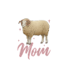 Dorset Meat Sheep Mama