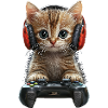 Jeux de chat