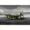 Thunderbolt P-47