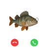 Fih Calling Remind me Message Decline Accept Phone