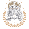 hibou oiseau lune nature