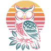 Owl Bird