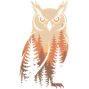 Hibou Forêt Nature