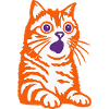 Astonished cat