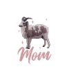 Jakobschaf Mama