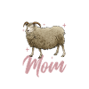 Maman mouton islandaise