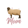 Suffolk-Schaf Mama