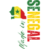 Made in Senegal, vertical design