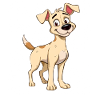 Cheerful dog with big eyes
