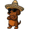 Cool dachshund with sombrero determined