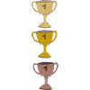 Elegant Winner's Cup Illustration