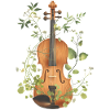 Violin Violin