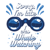 Walbeobachtung : J’observais les baleines