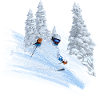 Ski