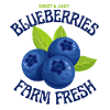 Blueberries farm fresh