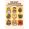 Classification Rant (anglais)