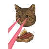Laser Cat