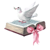 Coquettish Bow Bible Christian Religious Dove