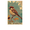 Sparrows Sparrow