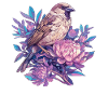 Sparrows Sparrow