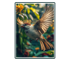 Sparrows Sparrow